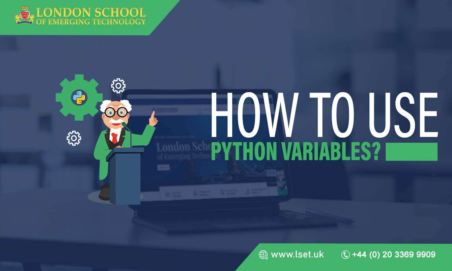 How to Use Python Variables