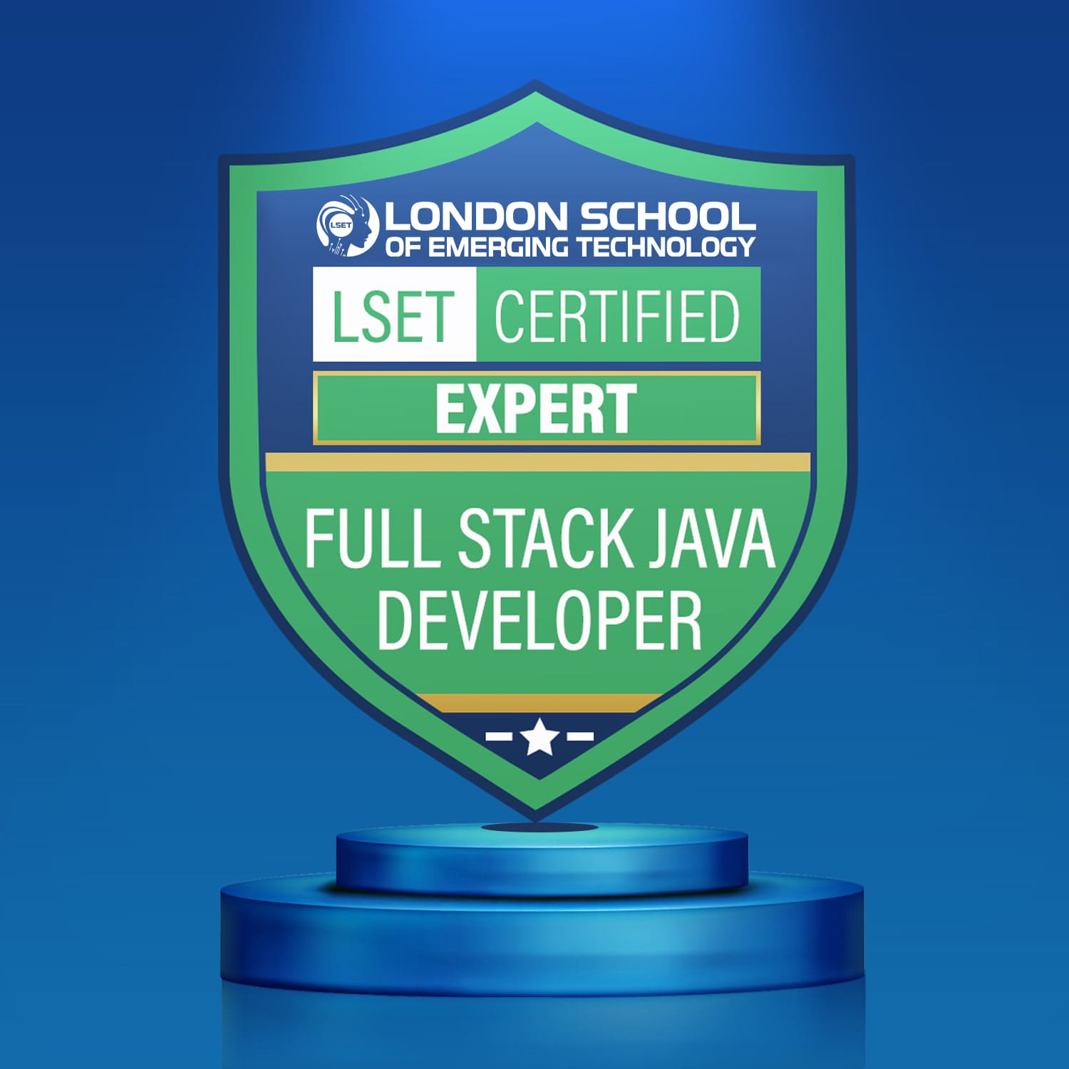 LSET Certified Full Stack Java Developer (Expert)