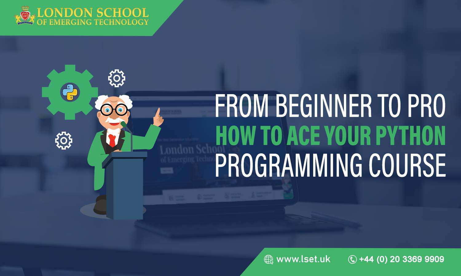 From Beginner to Pro How to Ace Your Python Programming Course