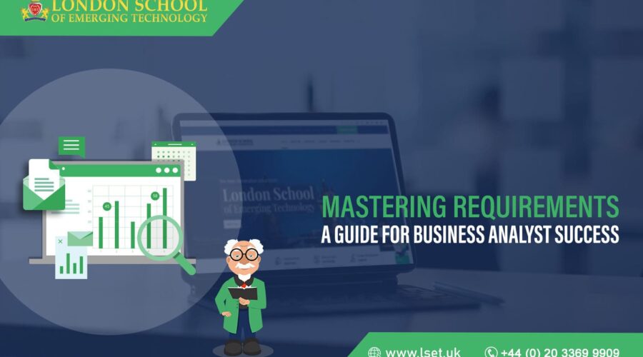 Business Analyst