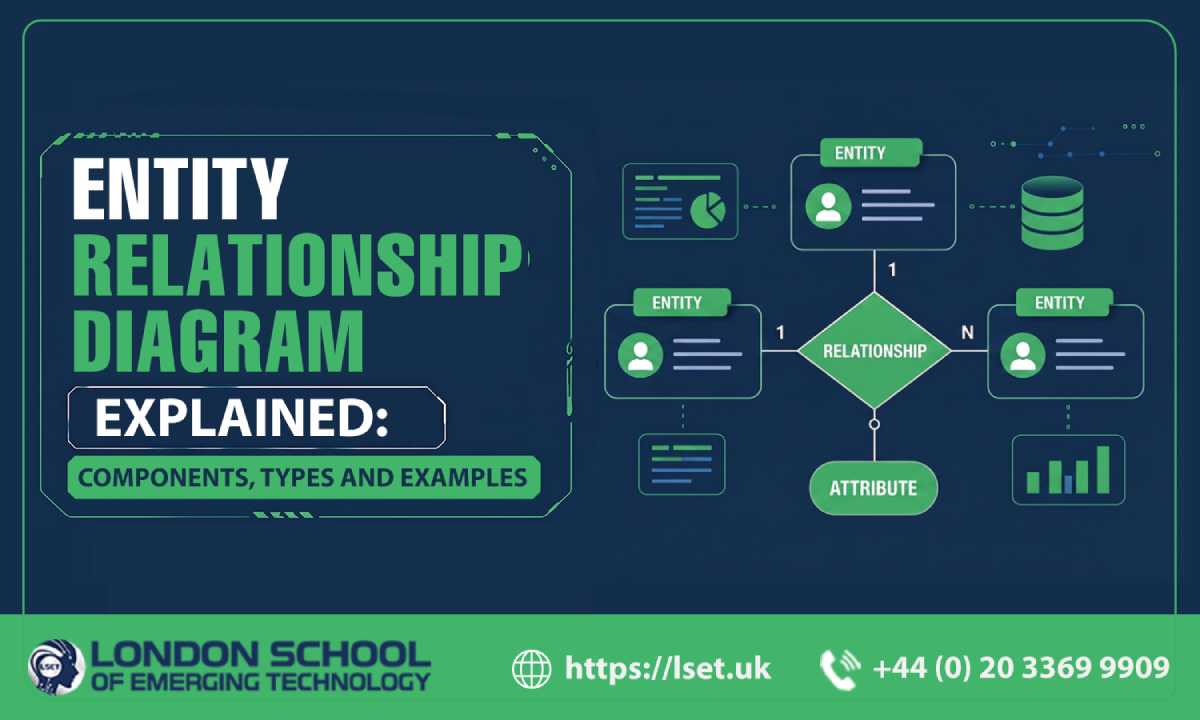 Entity Relationship Diagram (ERD) Components, Types and Examples